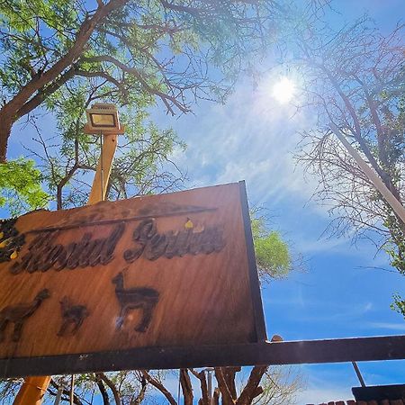 Hostal Perita سان بيدرو دي أتاكاما المظهر الخارجي الصورة