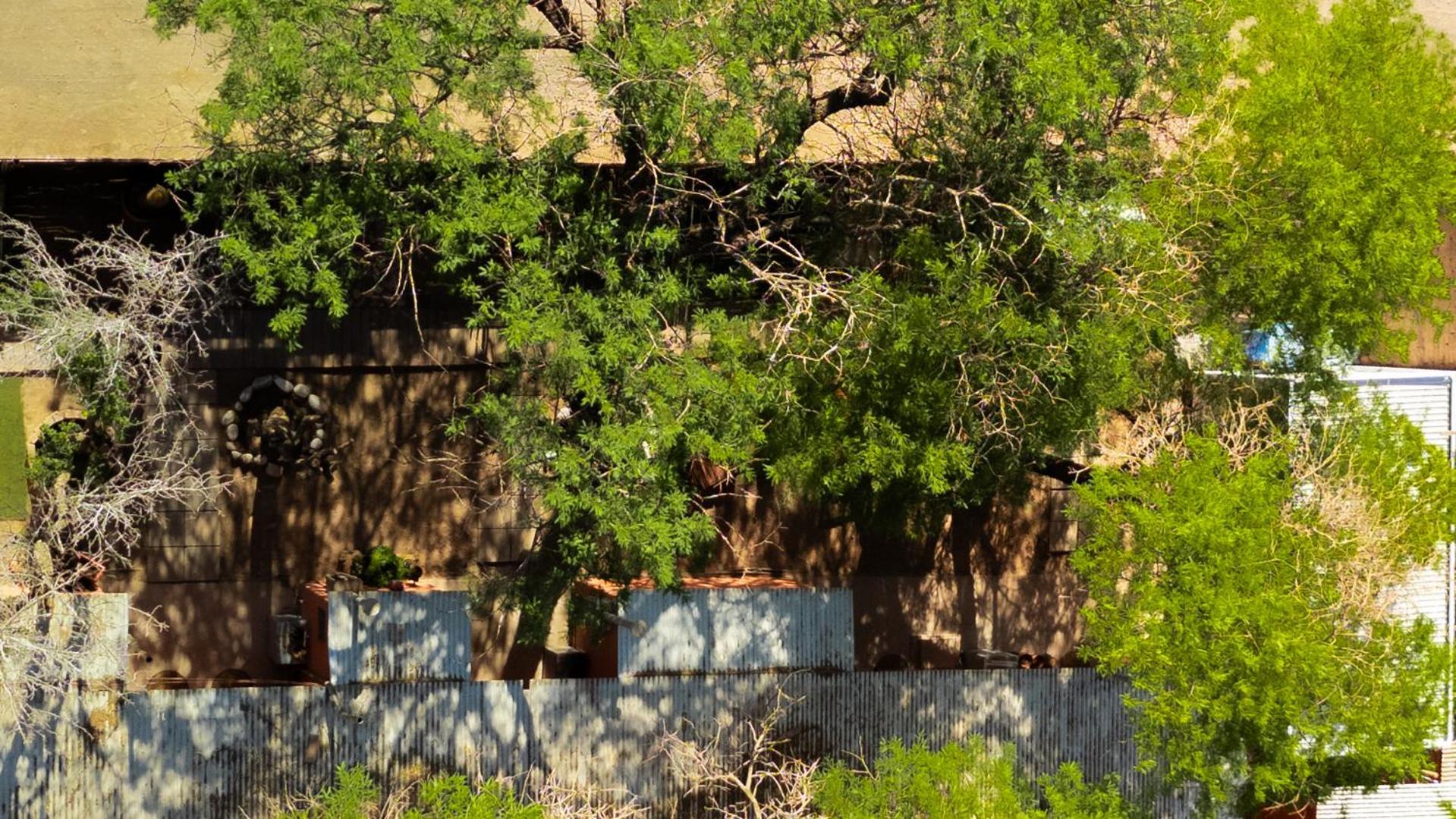 Hostal Perita سان بيدرو دي أتاكاما المظهر الخارجي الصورة
